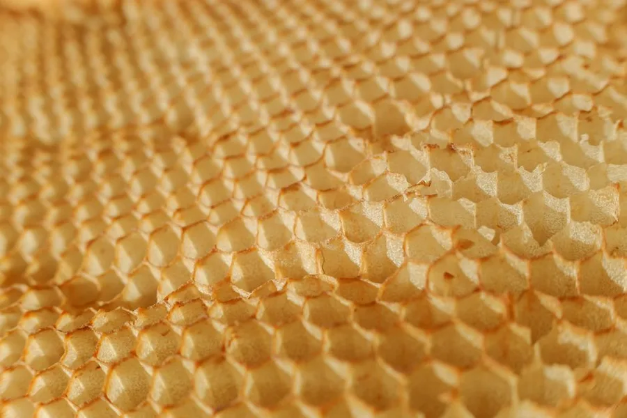 Beeswax Benefits, Uses, and Safety Explained