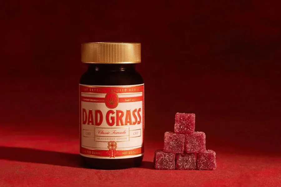 CBD Gummies Explained: Benefits, Safety, and How to Choose